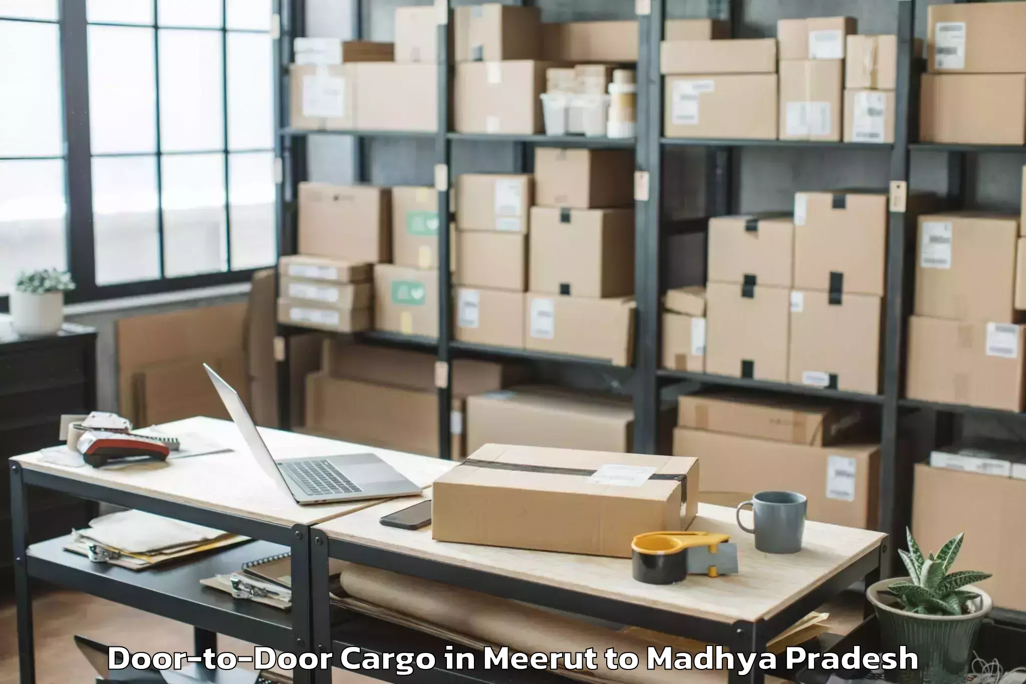 Reliable Meerut to Sanchi Door To Door Cargo